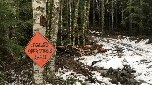 Washington forest parcel saved by a unique effort