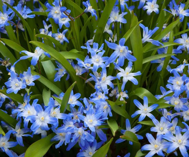 (Image credit: Alamy Stock Photo / Mary Liz Austin)