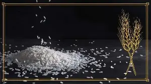The Grain That Built Civilisations: The Journey Of Rice
