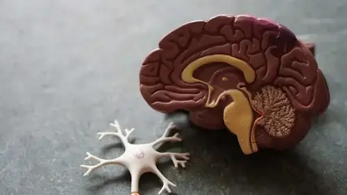 Parental inheritance of Alzheimer's can pose greater risk.