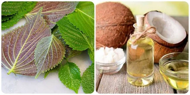 Using perilla leaves for beauty purposes is not something everyone knows about - Photo 3.