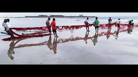 Fishermen haul a net to shore in Malvan, Maharashtra. (Nayantara Siriguri)