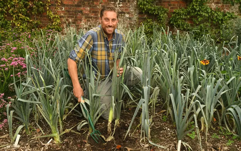 Some leeks are better harvested in the autumn - Russell Sach