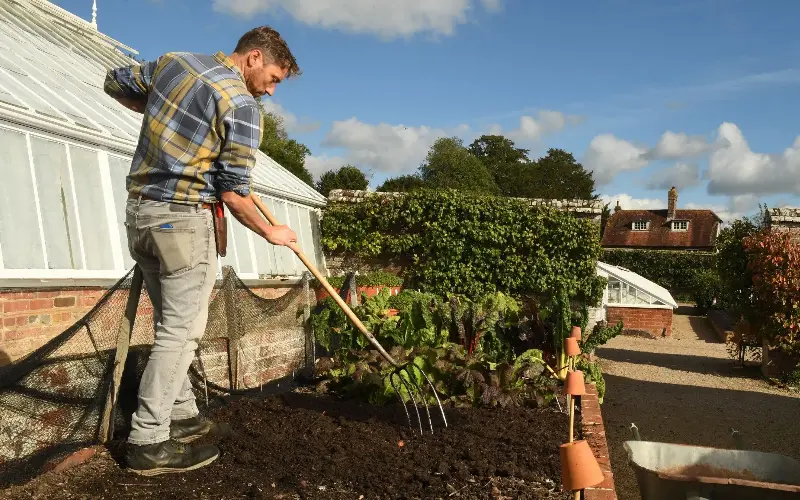 A layer of mulch will help to protect the soil - Russell Sach