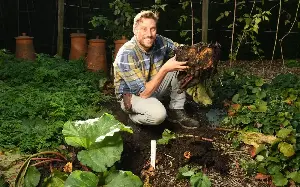 Gardening jobs to do this autumn (even if it’s pouring)
