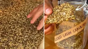 Dr Rupy Aujla shares 6-ingredient, flour-free green crackers recipe loaded with 9g protein and 9g fibre
