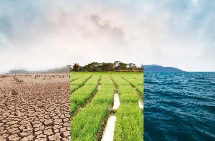 nước biển dâng - Ảnh 2.