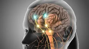 Does "Dopamine Fasting" Actually Work?