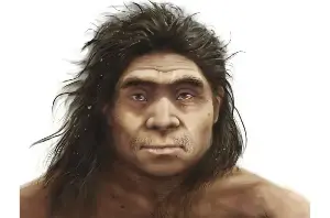 Rare fossils reveal what ancient Denisovans may have looked like
