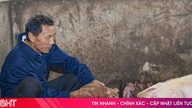 Que Lam continues to expand its organic farming chain in Ha Tinh.