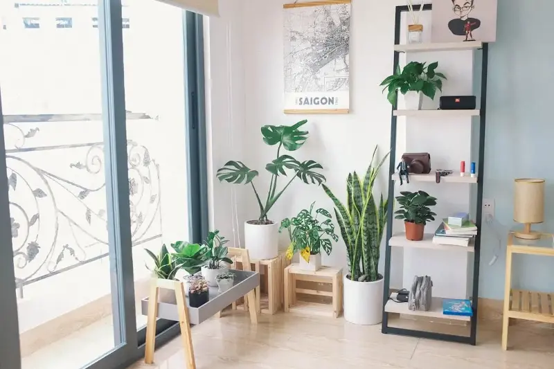 Keeping indoor plants can improve air quality and add a sense of serenity.