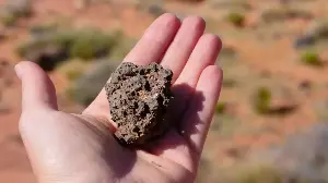 A rare meteorite found in the Sahara may be a surviving shard of a lost Moon-sized world — one that formed beside the young Sun, followed a path unlike Earth or Mars, and was smashed apart while the planets were still being built.