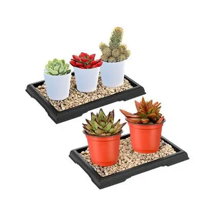 Amazon pebble humidity tray