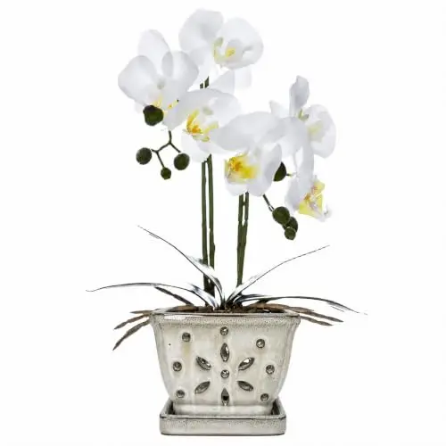 Vensovo 5.5 Inch Rectangular Ceramic Orchid Pot With Holes, White