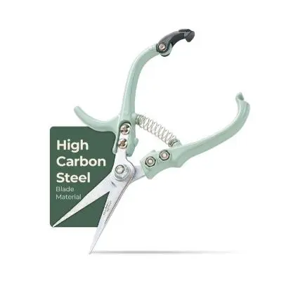 Amazon pruning snips