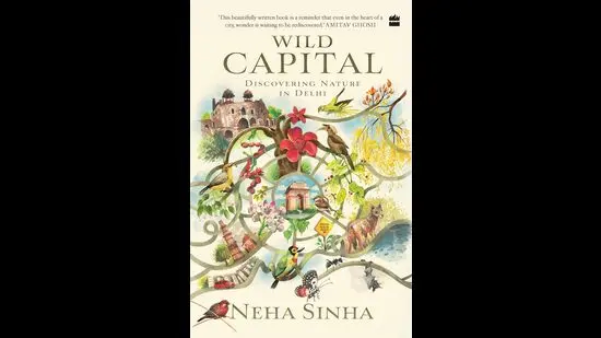 320pp, ₹799; Harper Collins