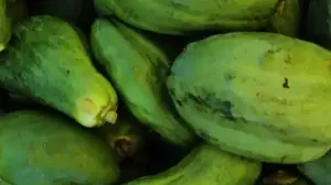 How To Use Raw Papaya In Cooking: Ways Beyond The Usual Sabzi