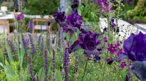 5 Reasons Why Designers Are 'Color-Drenching' Modern Gardens With This Versatile Palette — And How They Use It in Their Designs to Define a 'Mood'