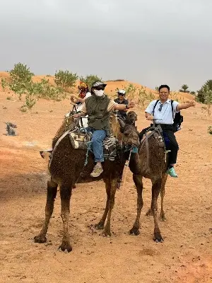 A strip of green silk in the Sahara Desert