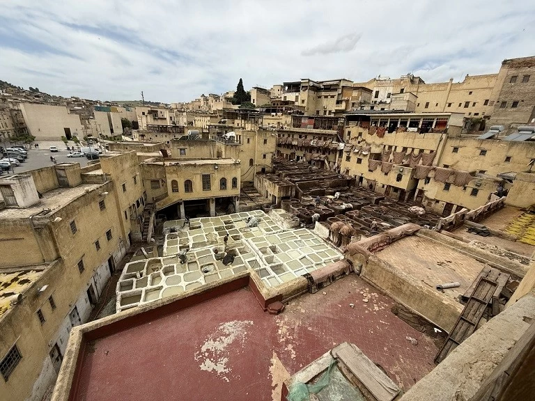 31.13. Morocco – Dải lụa xanh giữa sa mạc Sahara