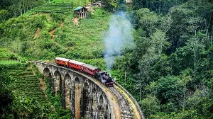 I have a date in Sri Lanka in August.