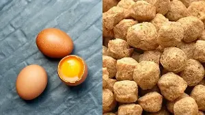 Fact check: Does 100 g of soya chunks have more protein than eggs? Doctor explains