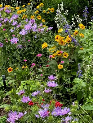 On Gardening: Next year's garden will be Forged in Fire