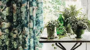 Houseplants need moisture retention techniques.