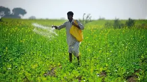 India taps new sources to plug fertilizer gap ahead of kharif season