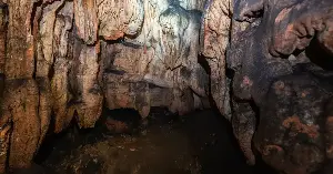 A survey of 64 limestone caves in Cambodia, reported in March 2026, turned up around 11 species new to science, among them a turquoise pit viper, a flying snake, geckos, micro-snails and millipedes