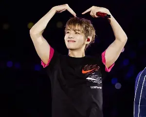 BTS V’s Heartfelt Request for Fan Privacy During Tour