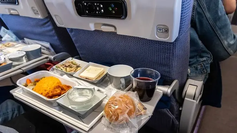Airplane food 