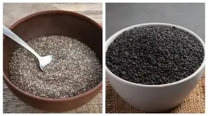 Sabja vs chia seeds: Dietician shares 5 ways they differ and which one your body actually needs