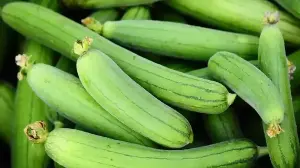 How India Cooks Sponge Gourd Differently In Every Region