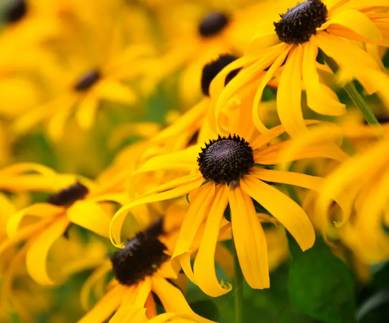 (Image credit: SondraP / iStock / Getty Images Plus / Getty Images)