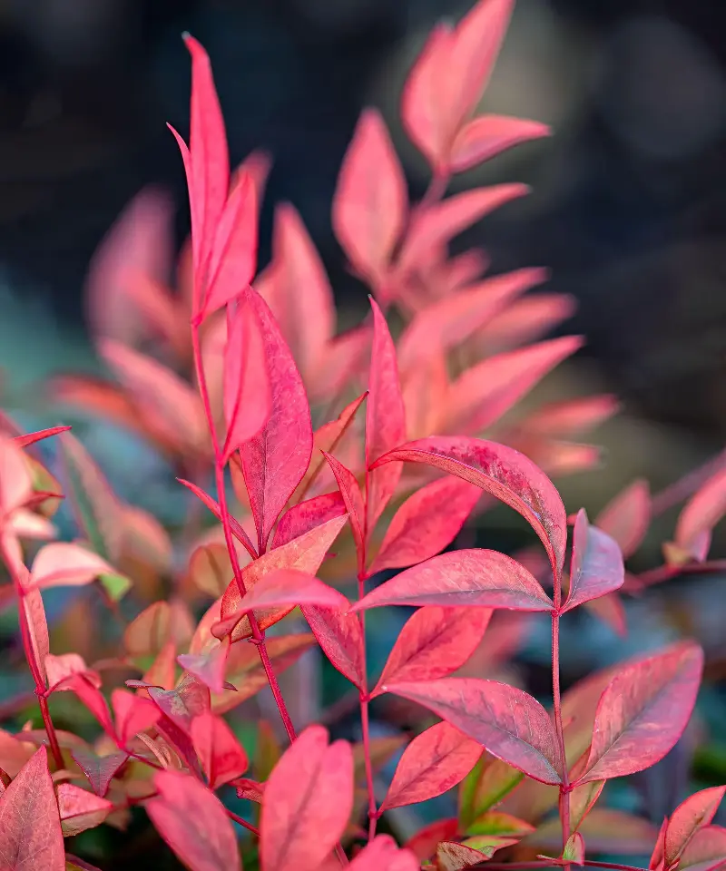 (Image credit: Chris Lawrence/Alamy Stock Photo)