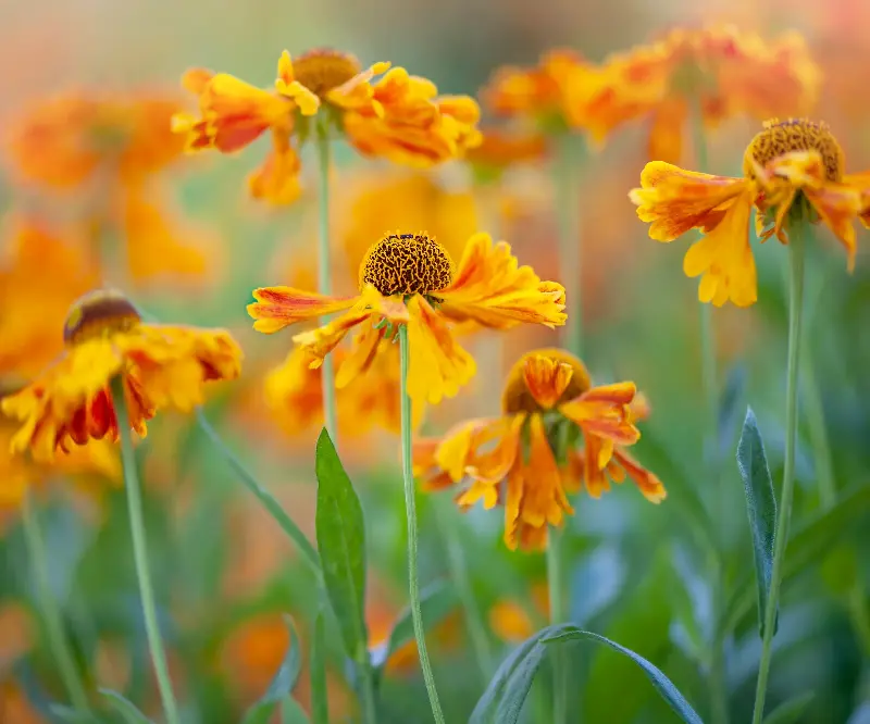 (Image credit: Getty Images/Jacky Parker Photography  )