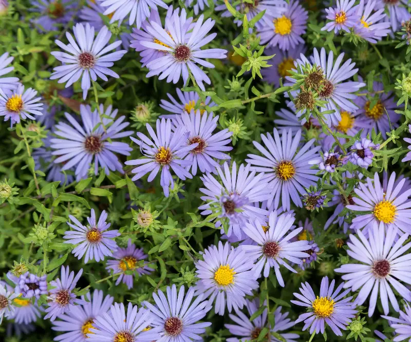 (Image credit: Alamy/B.O'Kane  )