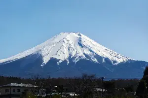 Vietnamese tourists begin leaving Japan's 'Golden Route'.