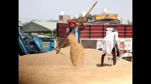 Storage blues for Punjab as wheat arrivals near 100 LMT