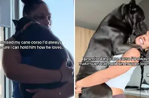 Owner Makes One Promise to Puppy—110LBS Later She’s Determined To Keep It