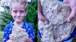 6-year-old discovers rare 200-million-year-old fossil of a jellyfish-like marine animal in Nebraska, US