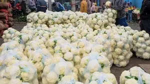 Cauliflower cultivation sees rise, but farming near toxic water flags concerns