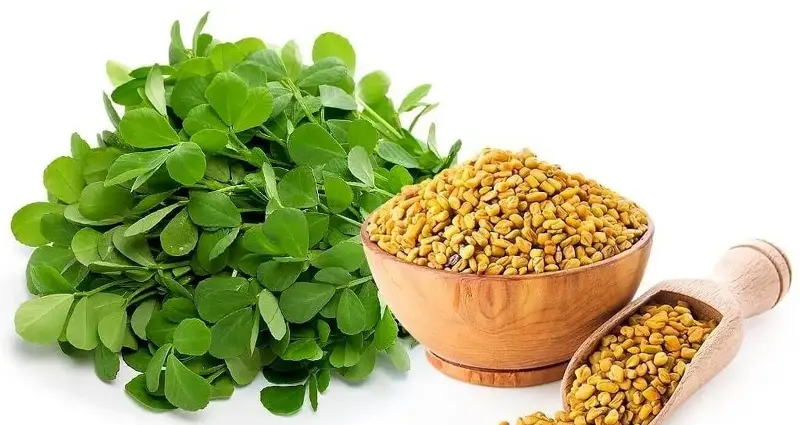 Ổn định đường huyết với 5 loại hạt giàu chất dinh dưỡng và chất béo lành mạnh- Ảnh 3.