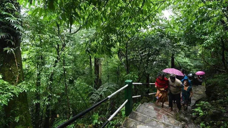 Walking in the forests of Cherrapunji, Inida