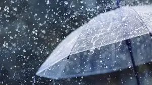 The 5 Wettest Places on Earth Where People Actually Live