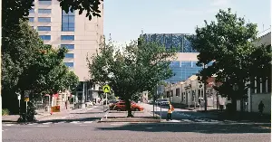 People express love for trees