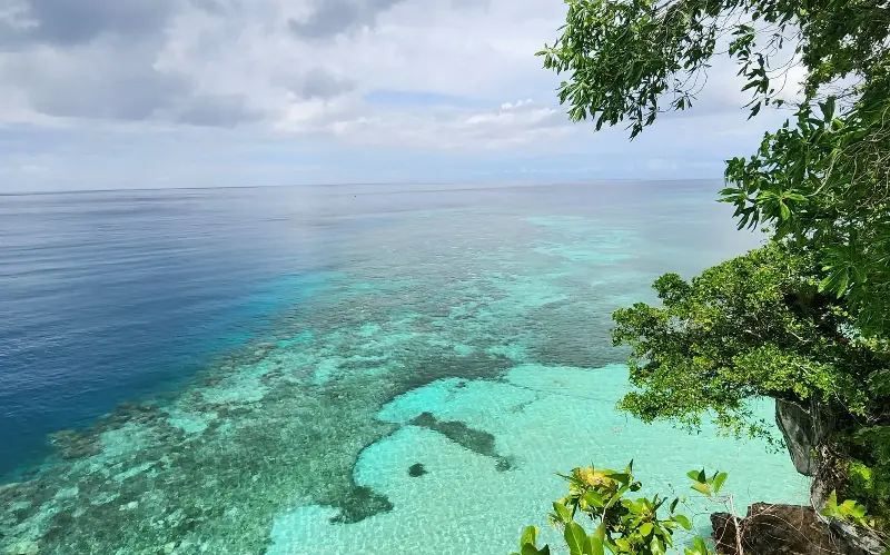 The AE Expeditions voyage uncovers the extraordinary wildlife and landscapes in Indonesia and Borneo