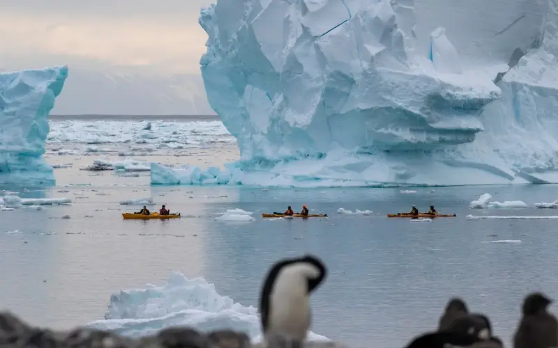 Passengers on Heritage Expeditions can also go kayaking to birdwatch