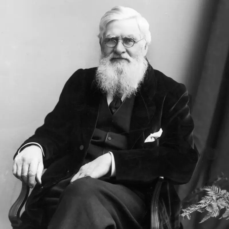 In the 19th century, British explorer Alfred Russel Wallace’s expeditions paved the way towards a better understanding of biodiversity and evolution - Hulton Archive
